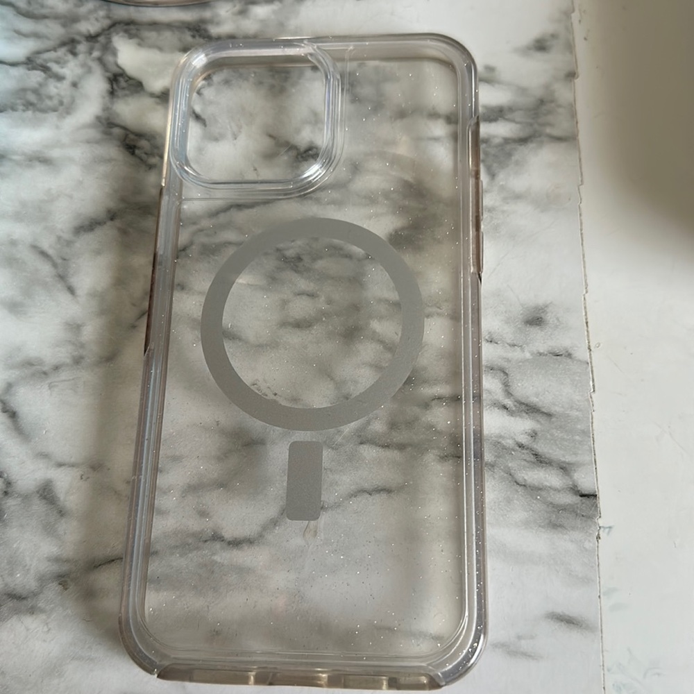 iPhone 12/13 pro max Otterbox case